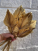 palm leaves-Golden set of 5