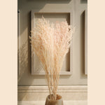 Dual Tone Limonium Dried vase filler