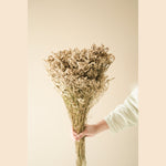 Star grass vase filler