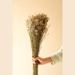 Star grass vase filler