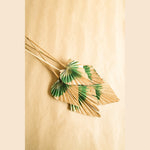 Peacock tone palm leaves