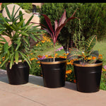 Round Metal Bucket Planter, Pack of 3 Large Planters freeshipping - Ecofynd