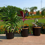 Round Metal Bucket Planter, Pack of 3 Large Planters freeshipping - Ecofynd