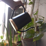 ecofynd 2 Liter Black Watering Can with Long Spout Watering Can freeshipping - Ecofynd