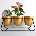 ecofynd 4 inches Bella Gold Metal Planter Pot with Black Stand Planter freeshipping - Ecofynd