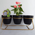 ecofynd 4 inches Bella Black Metal Planter Pot with Gold Stand Planter freeshipping - Ecofynd