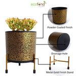 ecofynd 5 inches Alan Black Metal Planter Pot with Gold Stand Planter freeshipping - Ecofynd