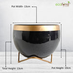 ecofynd 5 inches Elis Black Metal Planter Pot with Gold Stand Planter freeshipping - Ecofynd