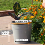 Round Metal Bucket Planter, Pack of 3 Large Planters freeshipping - Ecofynd