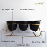 ecofynd 4 inches Bella Black Metal Planter Pot with Gold Stand Planter freeshipping - Ecofynd