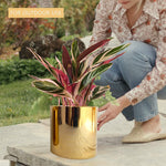 ecofynd Grace Metal Plant Pots Planter freeshipping - Ecofynd