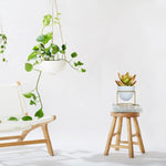 Alle Metal Plant Pot with Stand planter freeshipping - Ecofynd