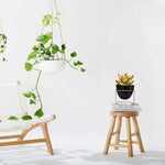 Alle Metal Plant Pot with Stand planter freeshipping - Ecofynd