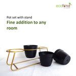 ecofynd 4 inches Bella Black Metal Planter Pot with Gold Stand Planter freeshipping - Ecofynd