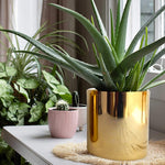 ecofynd Grace Metal Plant Pots Planter freeshipping - Ecofynd