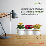 ecofynd 4 inches Bella White Metal Planter Pot with Gold Stand Planter freeshipping - Ecofynd