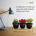 ecofynd 4 inches Bella Black Metal Planter Pot with Gold Stand Planter freeshipping - Ecofynd