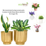 Eva Gold Metal Plant Pots Planters freeshipping - Ecofynd