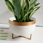 ecofynd 5 inches Elis White Metal Planter Pot with Gold Stand Planter freeshipping - Ecofynd