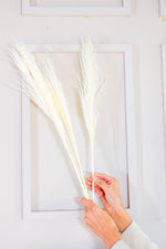 Red long vase with white reed pampas