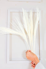 Red long vase with white reed pampas