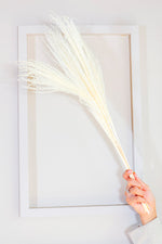 Red long vase with white reed pampas